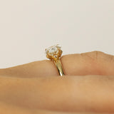 Hidden Detailes Oval Lab Grown Diamond Engagement Ring