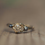 Branch Ring with Champagne Diamond and Meteorites