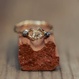 Branch Ring with Champagne Diamond and Meteorites