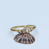 Asymmetric mixed champagnes bubble ring