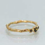 Gentle Sapphires Trio on a Branch Ring
