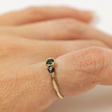 Meteorite and Sapphire duet