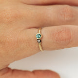 Meteorite and Sapphire duet