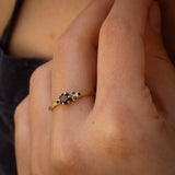 Asymmetric Branch Ring with Black Diamonds