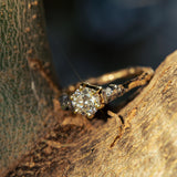Large diamond & meteorites trio branch ring