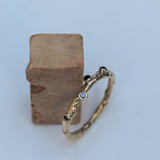 Branch Ring with Scattered Bubbles of Black Diamonds