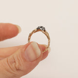 Infinity Branch with Meteorite