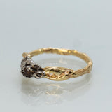 Infinity Branch with Meteorite
