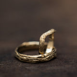 Duo tree trunk rings