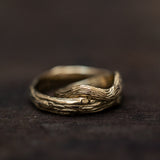 Duo tree trunk rings