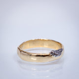 Smooth Raw Gold Band with Meteorite