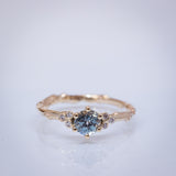 Symmetric Branch Ring with Sapphire and Diamonds