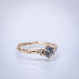 Symmetric Branch Ring with Sapphire and Diamonds