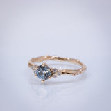 Symmetric Branch Ring with Sapphire and Diamonds