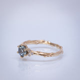 Symmetric Branch Ring with Sapphire and Diamonds