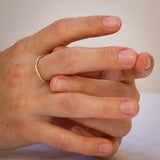 טבעות ענף קלאסיות