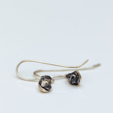 טען תמונה לצפייה בגלריה, Silver hanging meteorite earrings
