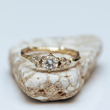 Large white diamond symmetric branch ring