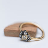Starlight Meteorite and Champagne Diamond Gold Ring