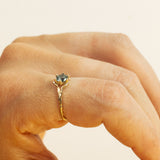 Spreading Branch Ring with Large Montana Sapphire