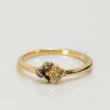 Meteorite and 0.20ct Chamapgne Diamond Duet
