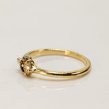 Meteorite and 0.20ct Chamapgne Diamond Duet