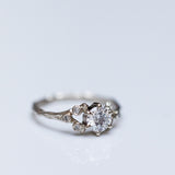 Asymmetric white diamonds spreading branch ring