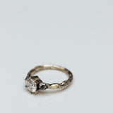 Impressive diamond branch and meteorite ring