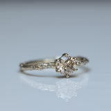 Solitaire branch ring & scattered diamonds