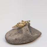 Symmetric champagne diamonds spreading branch ring