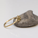 Symmetric champagne diamonds spreading branch ring