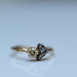 Branch diamond & meteorite ring