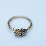 Branch diamond & meteorite ring