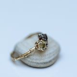 Branch diamond & meteorite ring