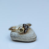 Branch diamond & meteorite ring