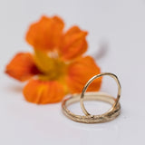 Gentle raw ring & Tree trunk ring