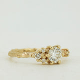 Asymmetric Branch Cluster with White Diamonds