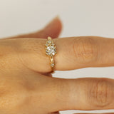 Asymmetric Branch Cluster with White Diamonds