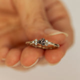 Harmonic Branch Ring with Meteorite and Diamonds