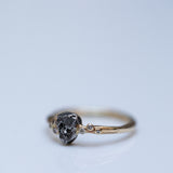 Raw bubbles and meteorite ring