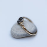 Raw bubbles and meteorite ring