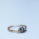 Meteorite and sapphires branch ring