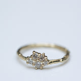 Champagnes Cluster Branch Ring