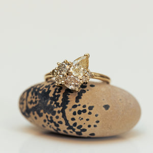 Champagne mix cluster ring