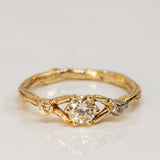 Asymmetric Spreading Branch Ring with Diamonds and Meteorite