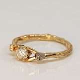 Asymmetric Spreading Branch Ring with Diamonds and Meteorite