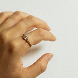 Asymmetric Spreading Branch Ring with Diamonds and Meteorite