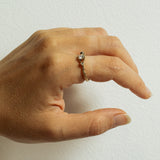 Asymmetric Spreading Branch Ring with Diamonds and Meteorite