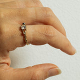 Asymmetric Spreading Branch Ring with Diamonds and Meteorite