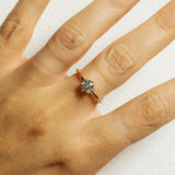 Light Champagne Solitaire Branch Ring